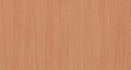 Płyta melaminowana, dekor Buk D381