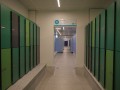 P1020448.JPG